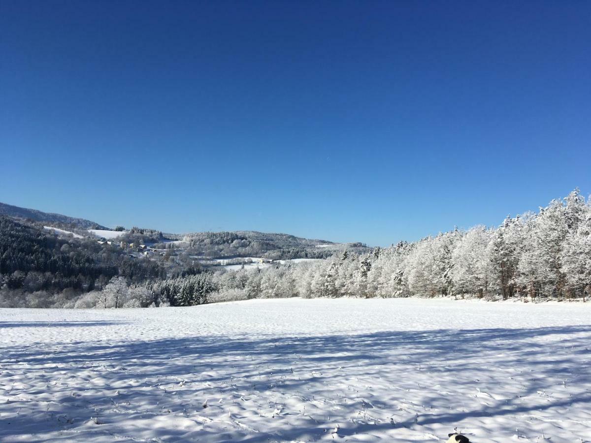 Apartman Na Vrsku Klenovice  ภายนอก รูปภาพ