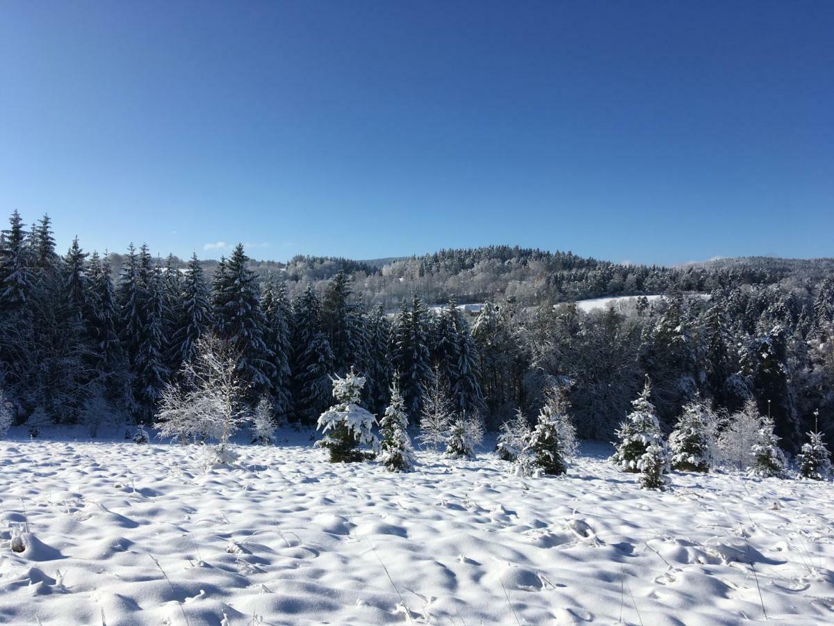 Apartman Na Vrsku Klenovice  ภายนอก รูปภาพ